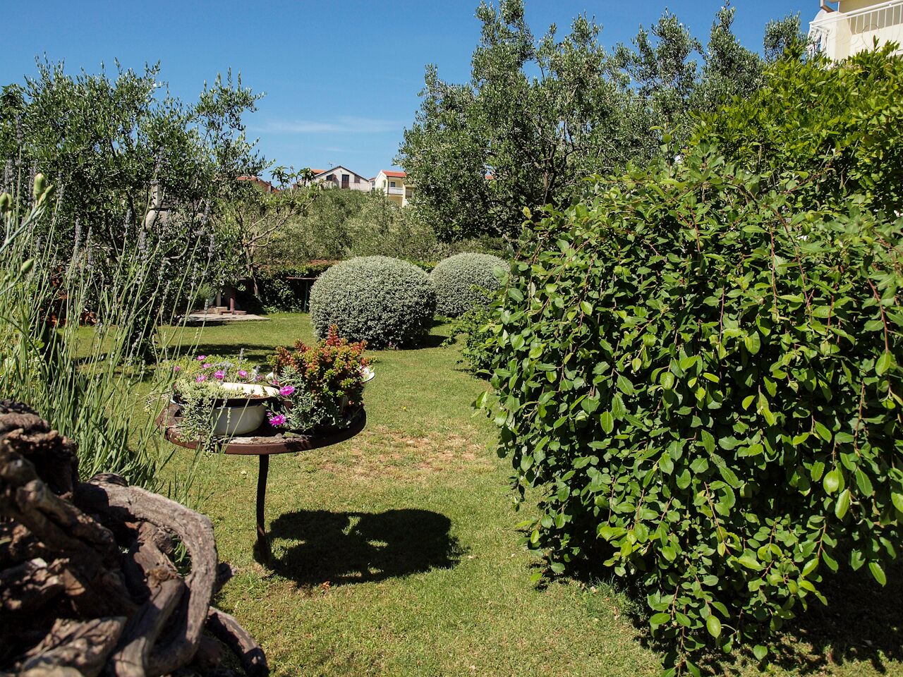 Vrt, privatni smještaj Vodice Dalmacija